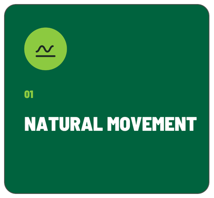 graphic showing the correlation between values The Fitness Group and Vivobarefoot were build on