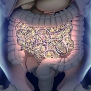 The Gut Microbiome and Human Health CPD Course